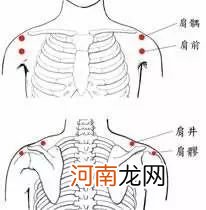 肩膀穴位图解大全