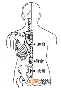 第七颈椎棘突准确位置