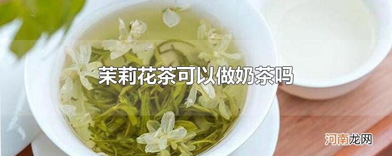 茉莉花茶可以做奶茶吗