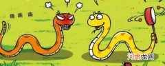 响尾蛇是如何发现猎物的 响尾蛇如何发现猎物