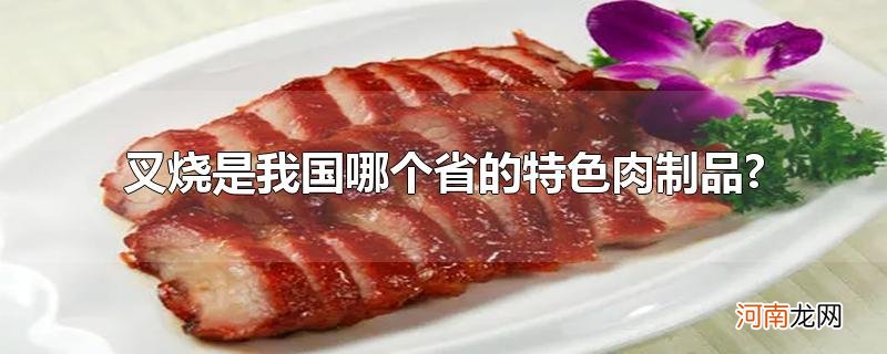 叉烧是我国哪个省的特色肉制品?