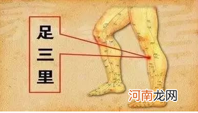 中脘天枢的准确位置图