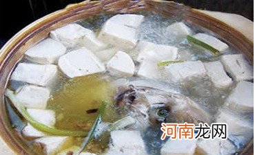 沙锅鱼头豆腐—迎接健康宝宝的佳食谱