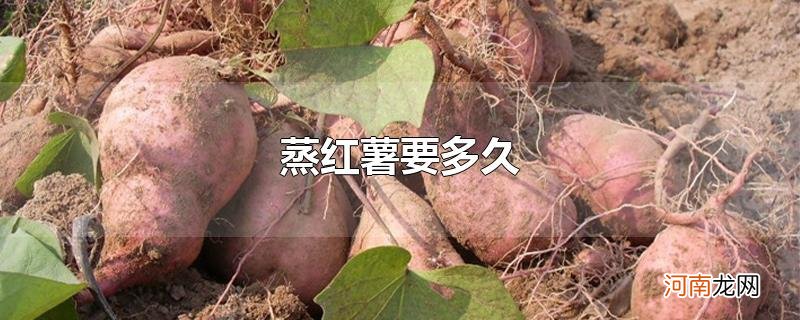 蒸红薯要多久