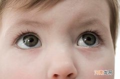 对眼睛好的食物有哪些 告诉你让宝宝眼睛明亮几