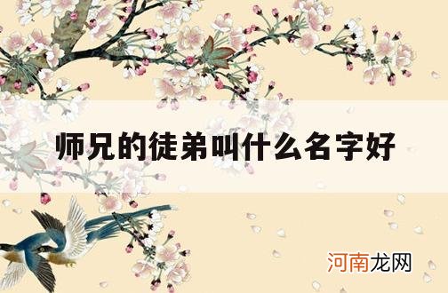 师兄的徒弟叫什么名字好_师兄的女徒弟叫什么名字