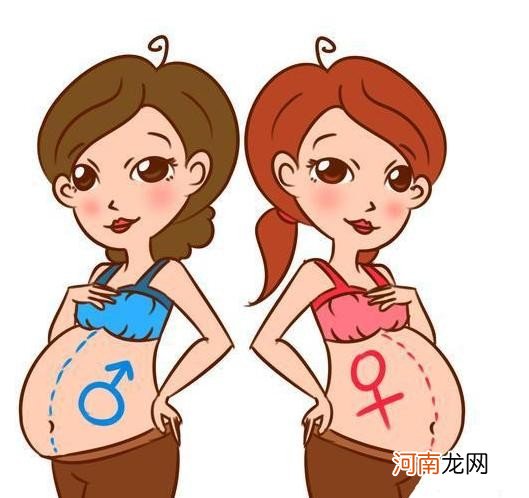 靠谱的生男生女的推算法 怎么按月份查生男生女