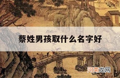 蔡姓男孩取什么名字好_蔡姓男宝宝取名大全100分