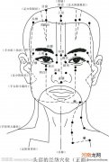 人体头部按摩位置图