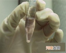 解读精液与怀孕间的关系