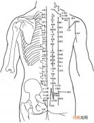 背部按摩穴位图