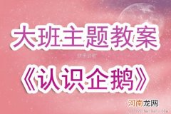 中班主题活动教案：不怕冷的企鹅教案