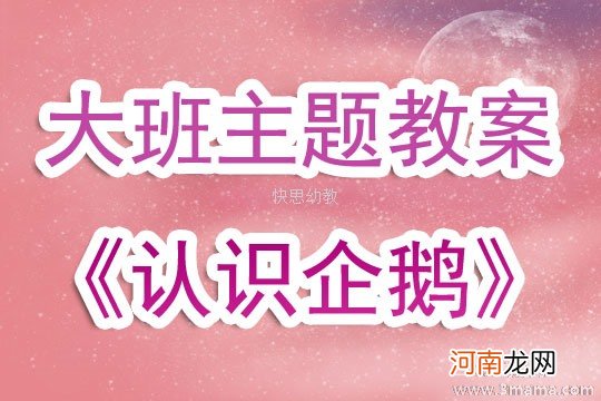 中班主题活动教案：不怕冷的企鹅教案