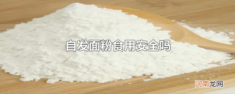 自发面粉食用安全吗