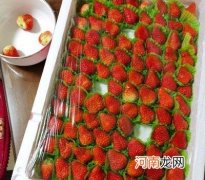 在家怎么自制草莓酱 草莓酱的做法详细步骤