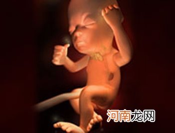 孕26周胎儿男女胎动图