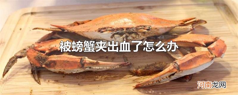 被螃蟹夹出血了怎么办