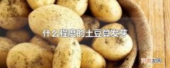什么程度的土豆算发芽
