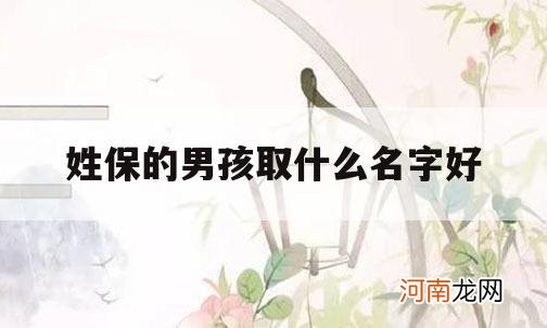 姓保的男孩取什么名字好_保姓氏取名字