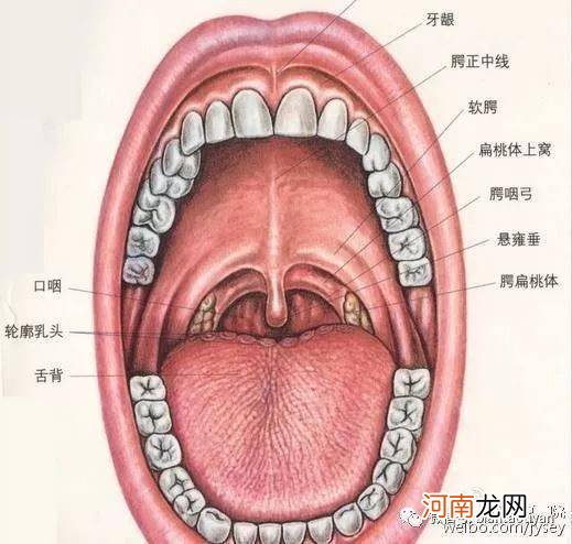 小孩扁桃体肿大吃什么药