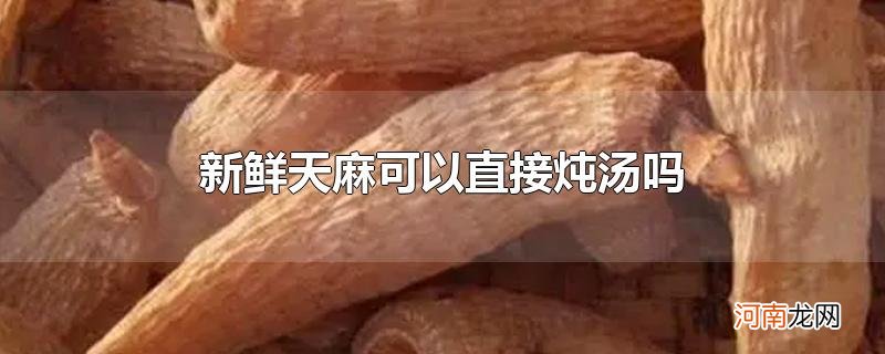 新鲜天麻可以直接炖汤吗