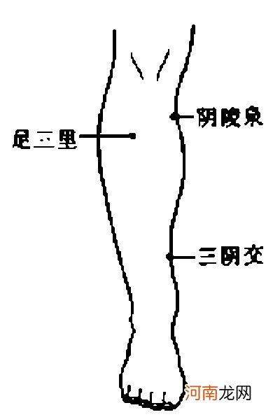 阴陵泉穴位准确位置图