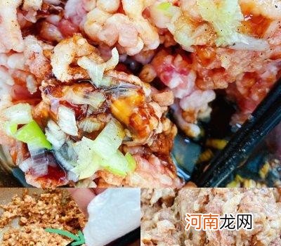 茴香饺子馅的做法窍门 茴香馅饺子怎样做好吃