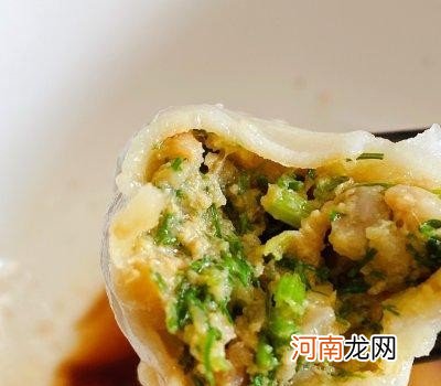 茴香饺子馅的做法窍门 茴香馅饺子怎样做好吃