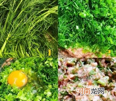 茴香饺子馅的做法窍门 茴香馅饺子怎样做好吃