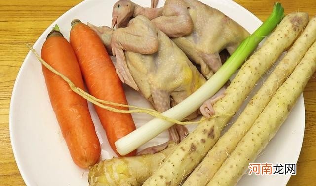 炖鸽子汤怎么做才有营养 鸽子肉汤的做法有哪些
