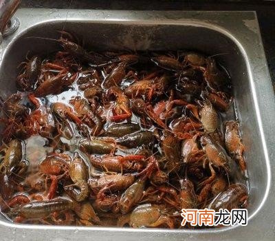 龙虾的营养价值有那些 蒜蓉龙虾的家常做法