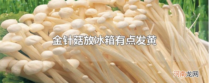 金针菇放冰箱有点发黄