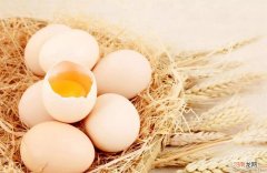 巧吃鸡蛋：鸡蛋的挑与做