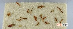 大米不生虫子的方法 怎么让大米不生虫子