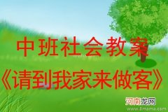 小班社会活动教案：做客教案