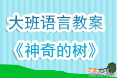 大班语言活动小刺猬烫发教案反思