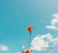 冬季适合喝什么茶叶