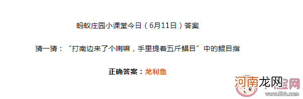 鳎目|手里提了着五斤鳎目中的鳎目指什么 蚂蚁庄园6月11日答案