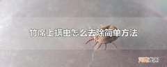 竹席上螨虫怎么去除简单方法