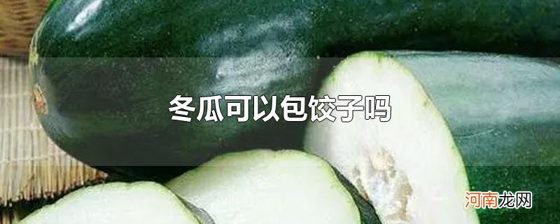 冬瓜可以包饺子吗