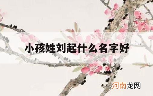 小孩姓刘起什么名字好_姓刘的小名小孩起什么好听