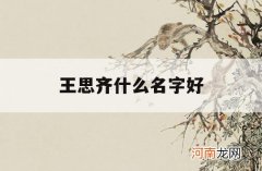 王思齐什么名字好_王思齐这个名字怎么样