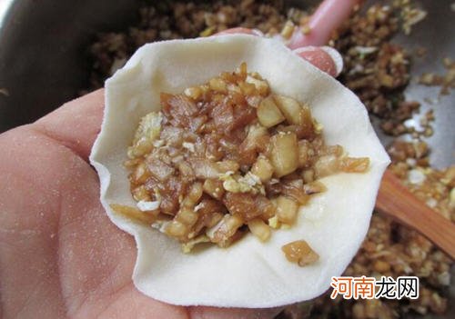 茄子饺子素馅的做法，茄子包饺子怎么调馅儿？