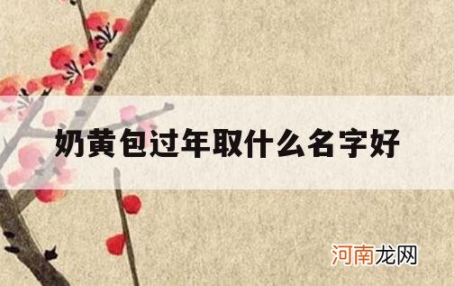 奶黄包过年取什么名字好_奶黄包的名字