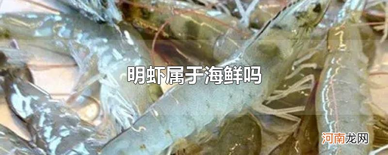 明虾属于海鲜吗