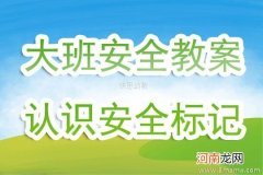 附教学反思 中班主题活动教案：有趣的车标志教案