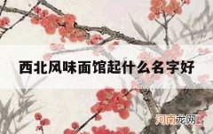 西北风味面馆起什么名字好_西北特色面馆名字