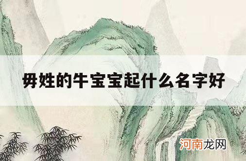 毋姓的牛宝宝起什么名字好_牛宝宝用屹取名好不好