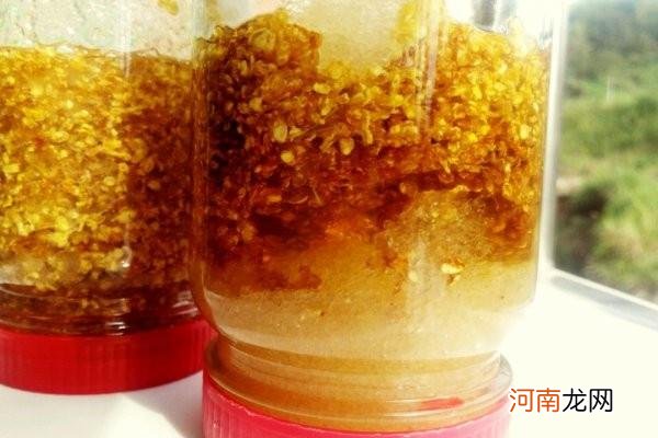 桂花怎么保存用来泡茶