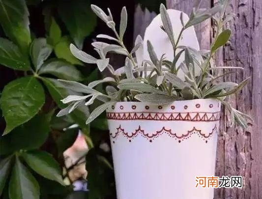 塑料瓶饮料瓶改造大全 废弃瓶子创意手工步骤